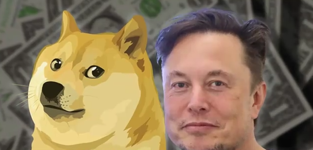 కుక్క AI పరిమాణాత్మక